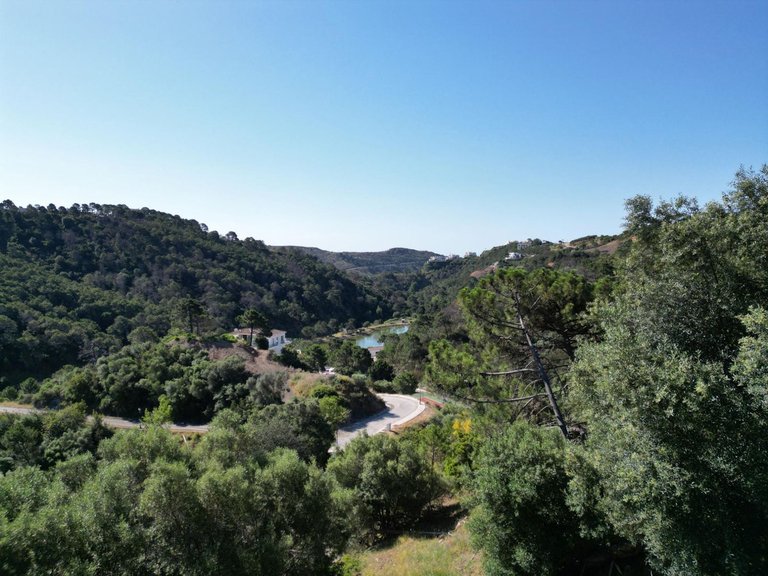 Plot for Sale in Benahavís, Malaga 3
