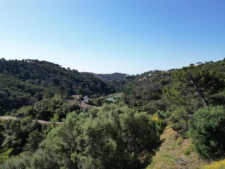 Plot for Sale in Benahavís, Malaga 5
