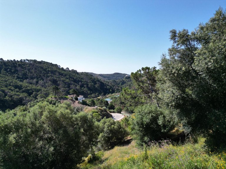 Plot for Sale in Benahavís, Malaga 6