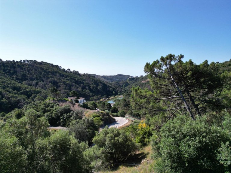 Plot for Sale in Benahavís, Malaga 7