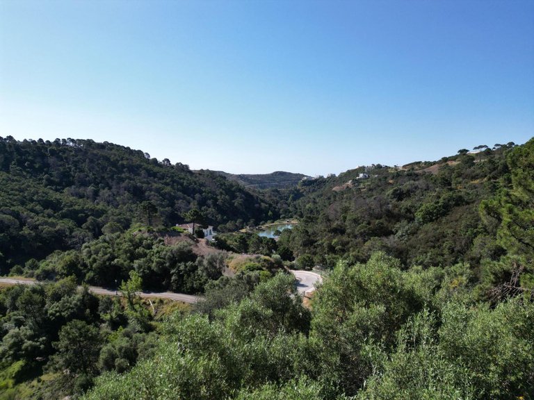 Plot for Sale in Benahavís, Malaga 8
