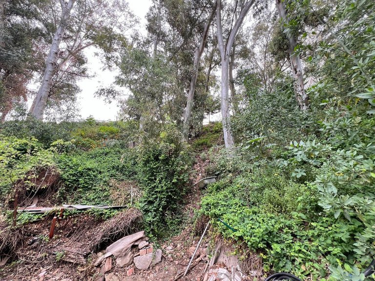 Plot for Sale in Málaga, Malaga 1