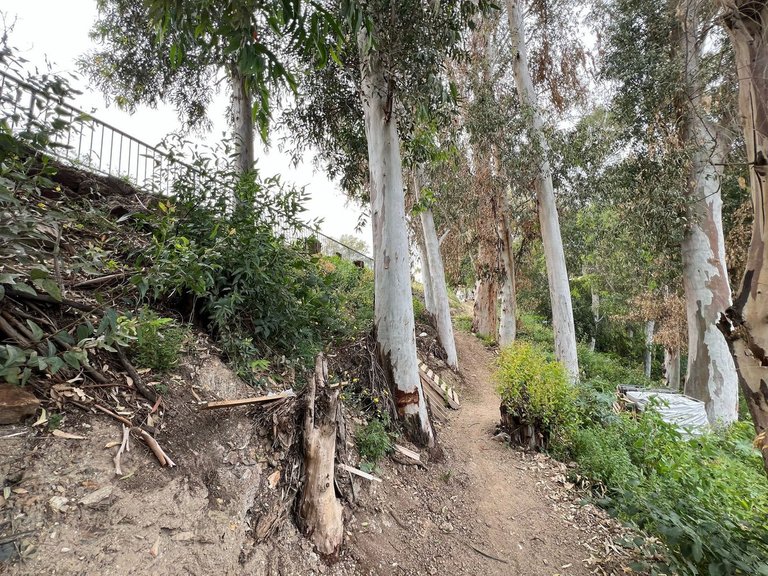 Plot for Sale in Málaga, Malaga 10