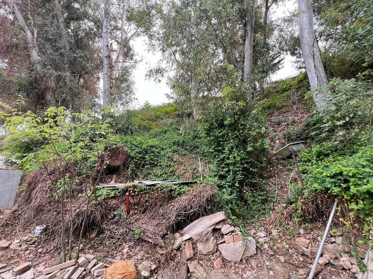 Plot for Sale in Málaga, Malaga 6