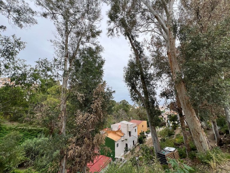 Plot for Sale in Málaga, Malaga 8