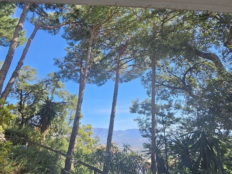 Apartment for Sale in Inland La Mairena, Malaga 10