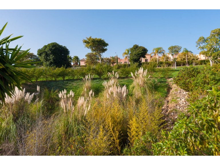 Villa for Sale in Estepona, Malaga 14