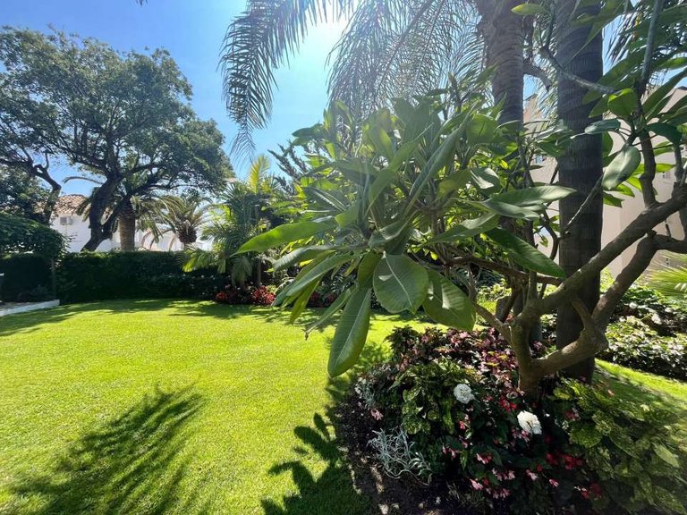 Villa for Sale in Mijas, Malaga 15