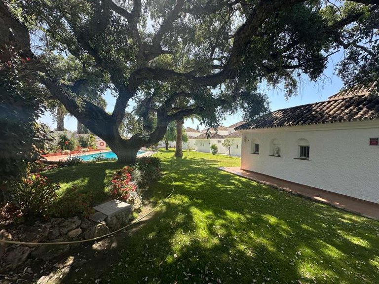 Villa for Sale in Mijas, Malaga 19