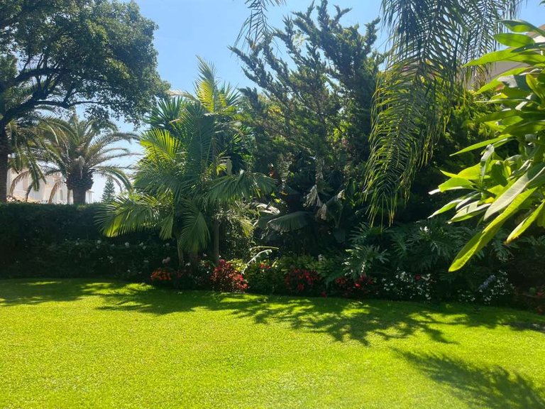 Villa for Sale in Mijas, Malaga 25
