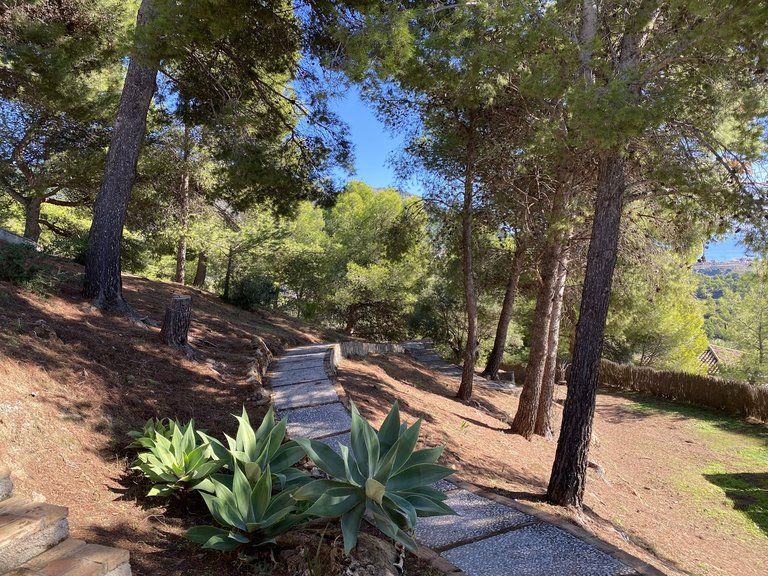 Villa for Sale in Costa del Sol Mijas, Malaga 45