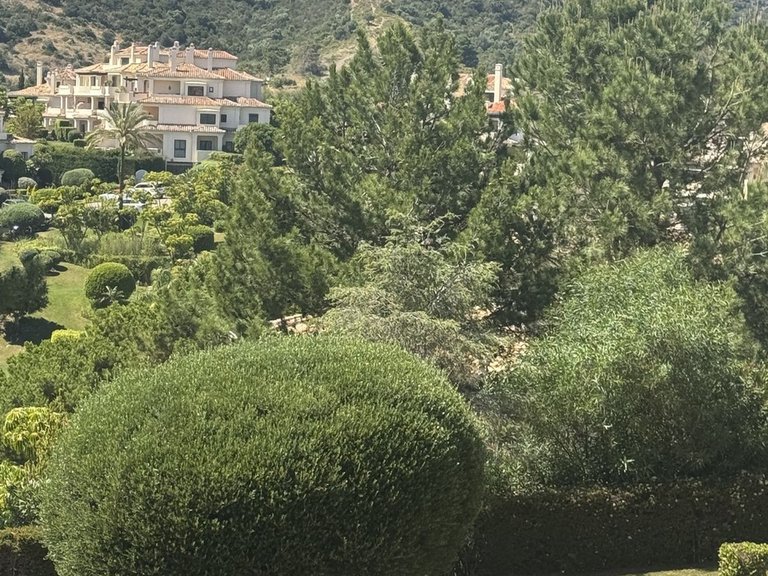 Apartment for Sale in Benahavís, Malaga 32