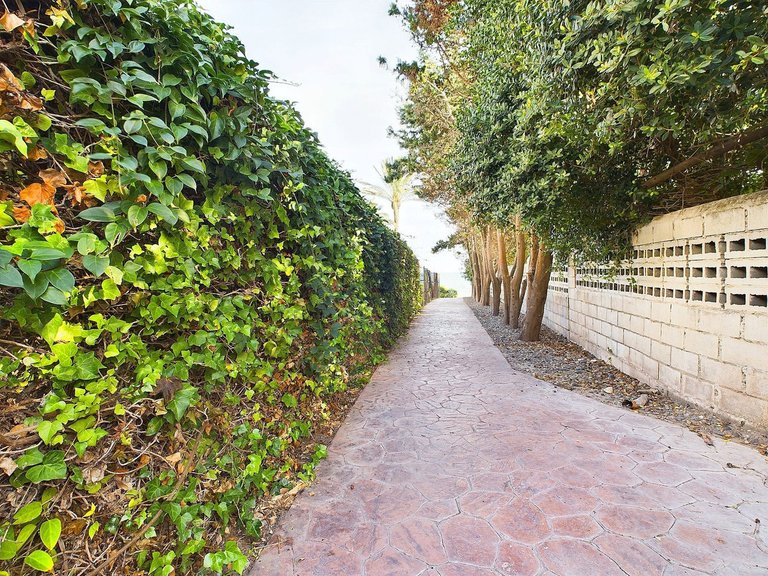 Apartment for Sale in Estepona, Malaga 10