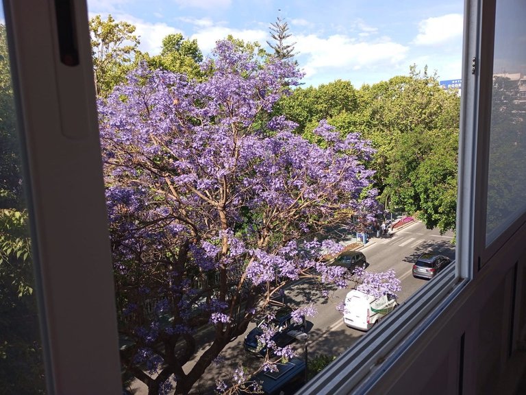 Apartment for Sale in Marbella, Malaga 18