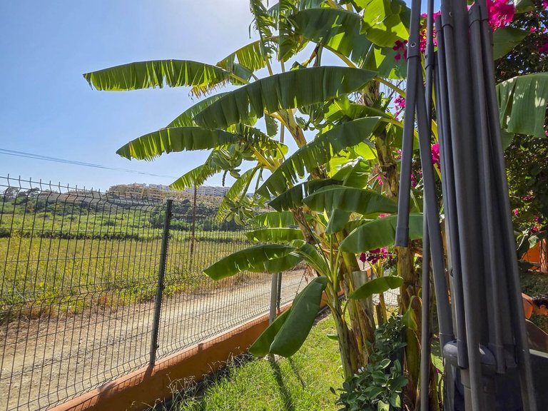 Apartment for Sale in La Duquesa, Malaga 50