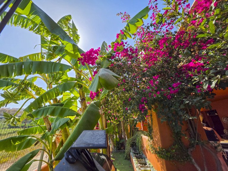 Apartment for Sale in La Duquesa, Malaga 53