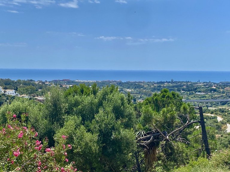 Apartment for Sale in Costa del Sol, El Padron, Malaga 22