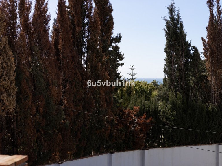 Villa for Sale in San Pedro De Alcántara, Malaga 44