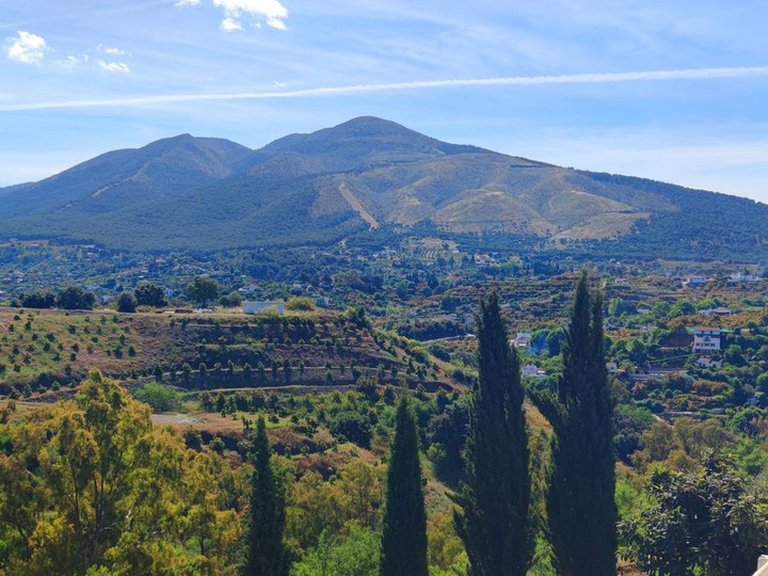 Villa for Sale in Alhaurín El Grande, Malaga 5