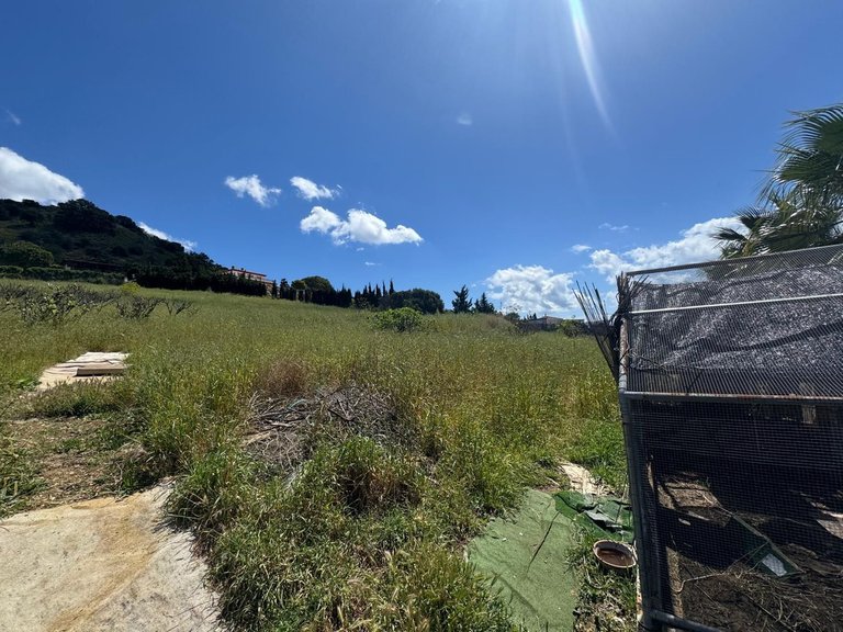 Plot for Sale in Estepona, Malaga 2