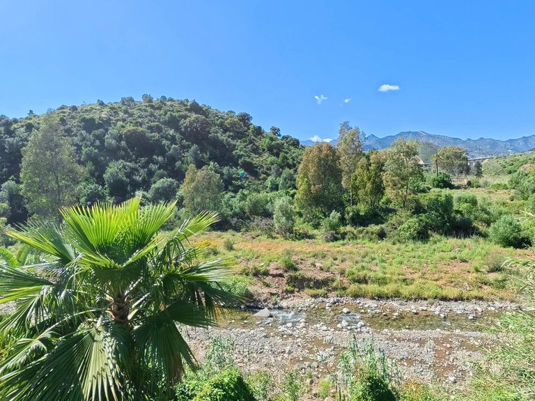 Apartment for Sale in Río Real, Malaga 28