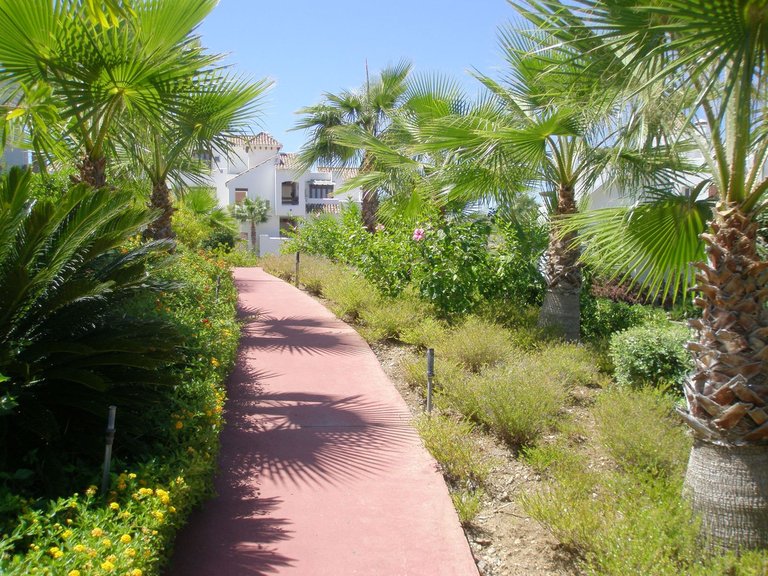 Apartment for Sale in Benahavís, Malaga 36
