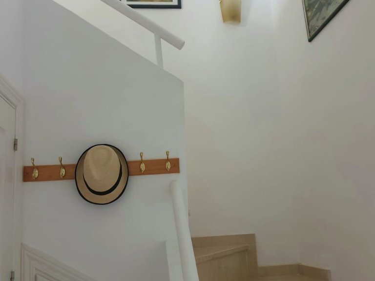 Villa for Sale in Casares Playa, Malaga 19