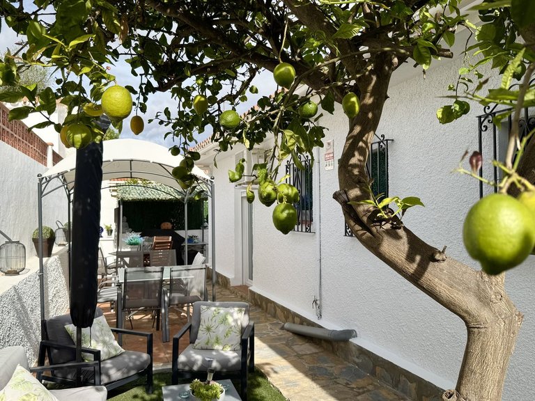 Villa for Sale in La Duquesa, Malaga 34