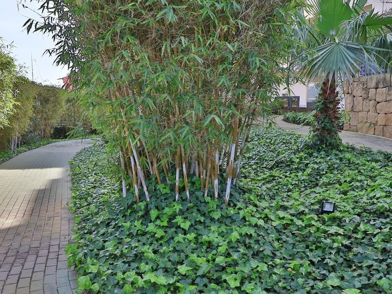 Apartment for Sale in Mijas, Malaga 50