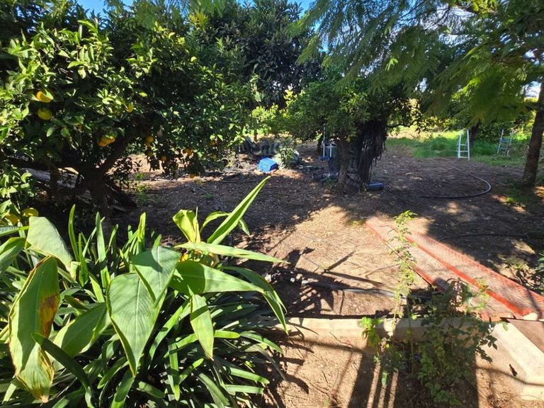 Villa for Sale in Alhaurín De La Torre, Malaga 38