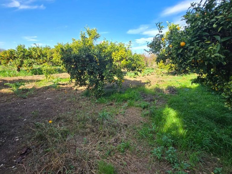 Villa for Sale in Alhaurín De La Torre, Malaga 39