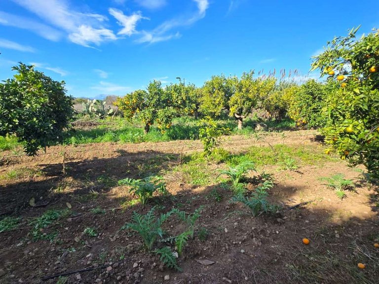 Villa for Sale in Alhaurín De La Torre, Malaga 40
