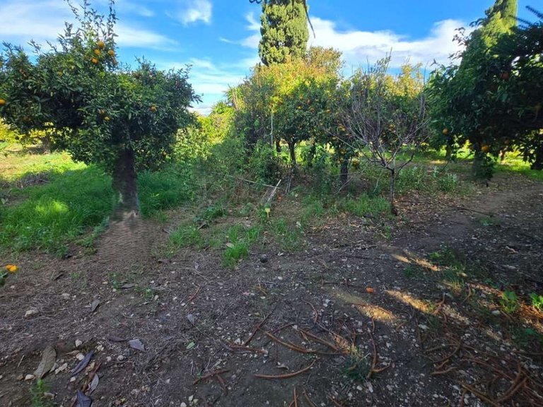 Villa for Sale in Alhaurín De La Torre, Malaga 41
