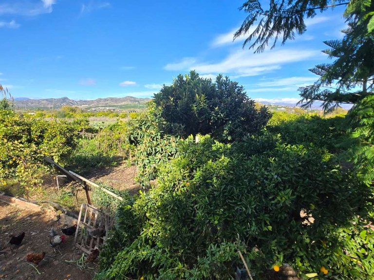 Villa for Sale in Alhaurín De La Torre, Malaga 42