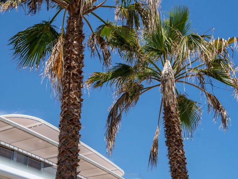 Penthouse for Sale in Costa del Sol Estepona, Malaga 5