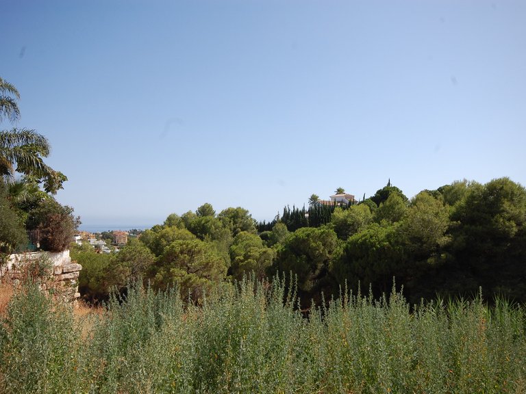 Villa for Sale in Selwo, Malaga 5