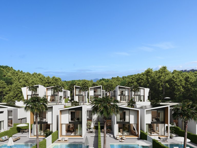 Villa for Sale in El Chaparral, Malaga 12