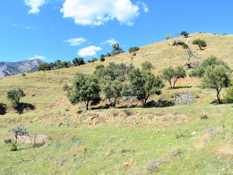 Plot for Sale in Mijas, Malaga 2
