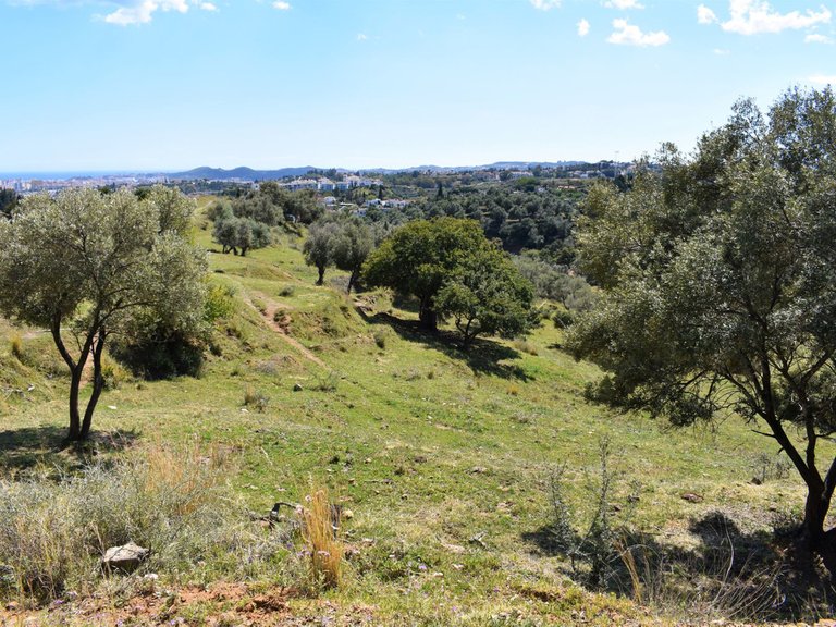 Plot for Sale in Mijas, Malaga 3