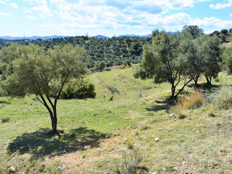 Plot for Sale in Mijas, Malaga 4