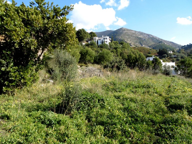 Plot for Sale in Mijas, Malaga 1