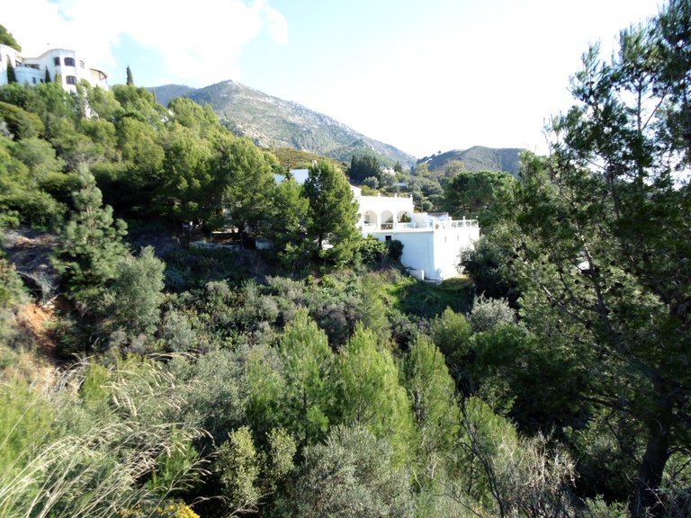 Plot for Sale in Mijas, Malaga 11