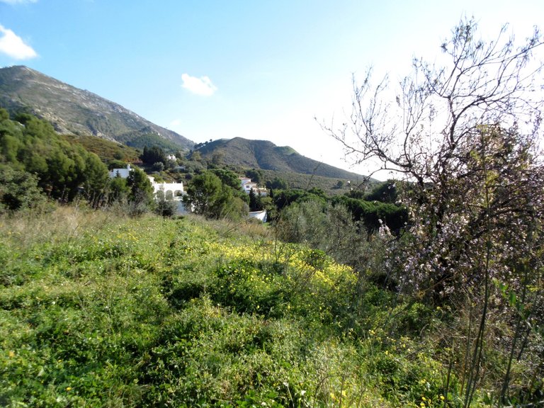 Plot for Sale in Mijas, Malaga 12