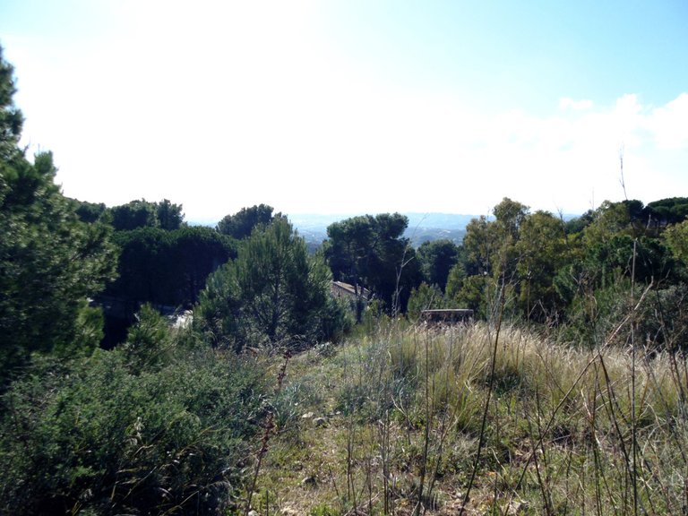 Plot for Sale in Mijas, Malaga 2
