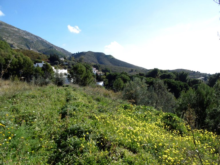 Plot for Sale in Mijas, Malaga 3