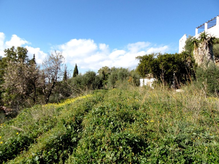 Plot for Sale in Mijas, Malaga 4
