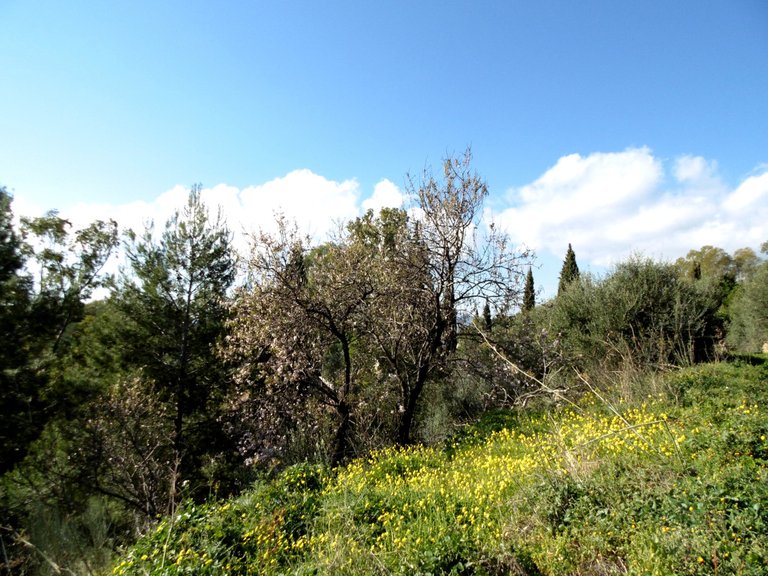 Plot for Sale in Mijas, Malaga 5