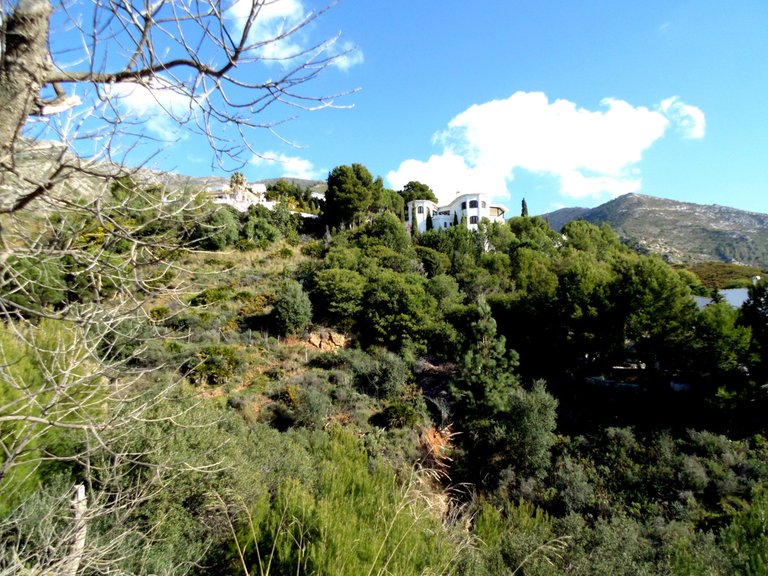 Plot for Sale in Mijas, Malaga 6