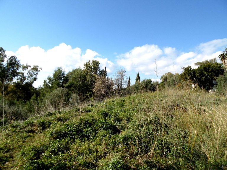 Plot for Sale in Mijas, Malaga 7