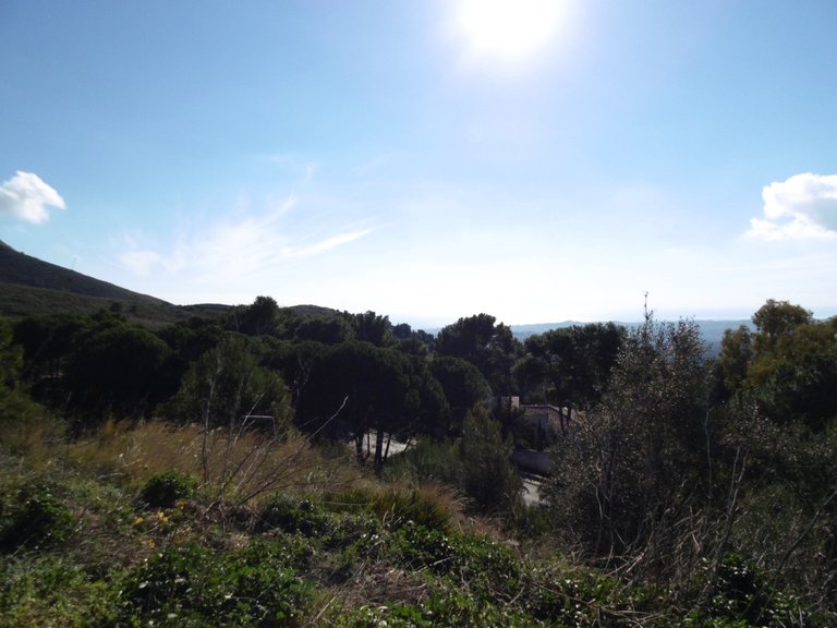 Plot for Sale in Mijas, Malaga 8